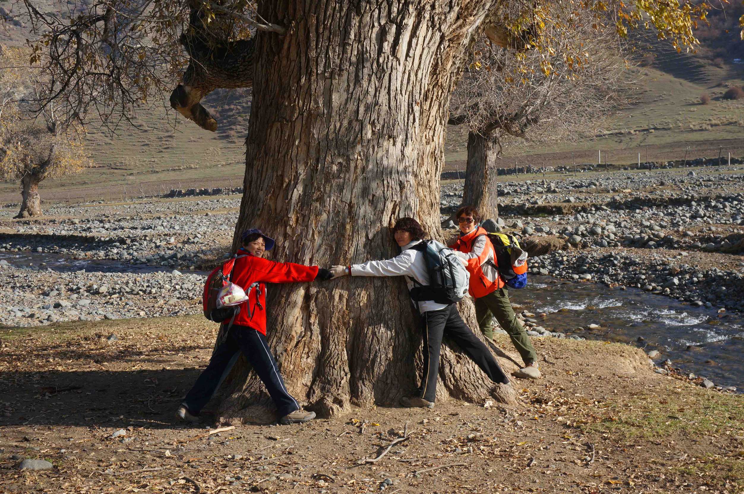 DSC01137 _.jpg