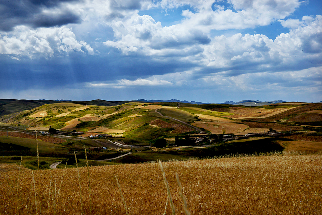 DSC_7555-1.jpg