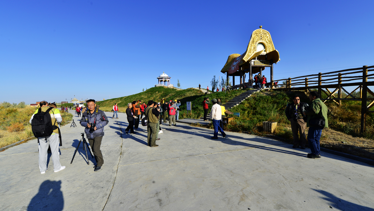 nEO_IMG__DSC2568.jpg