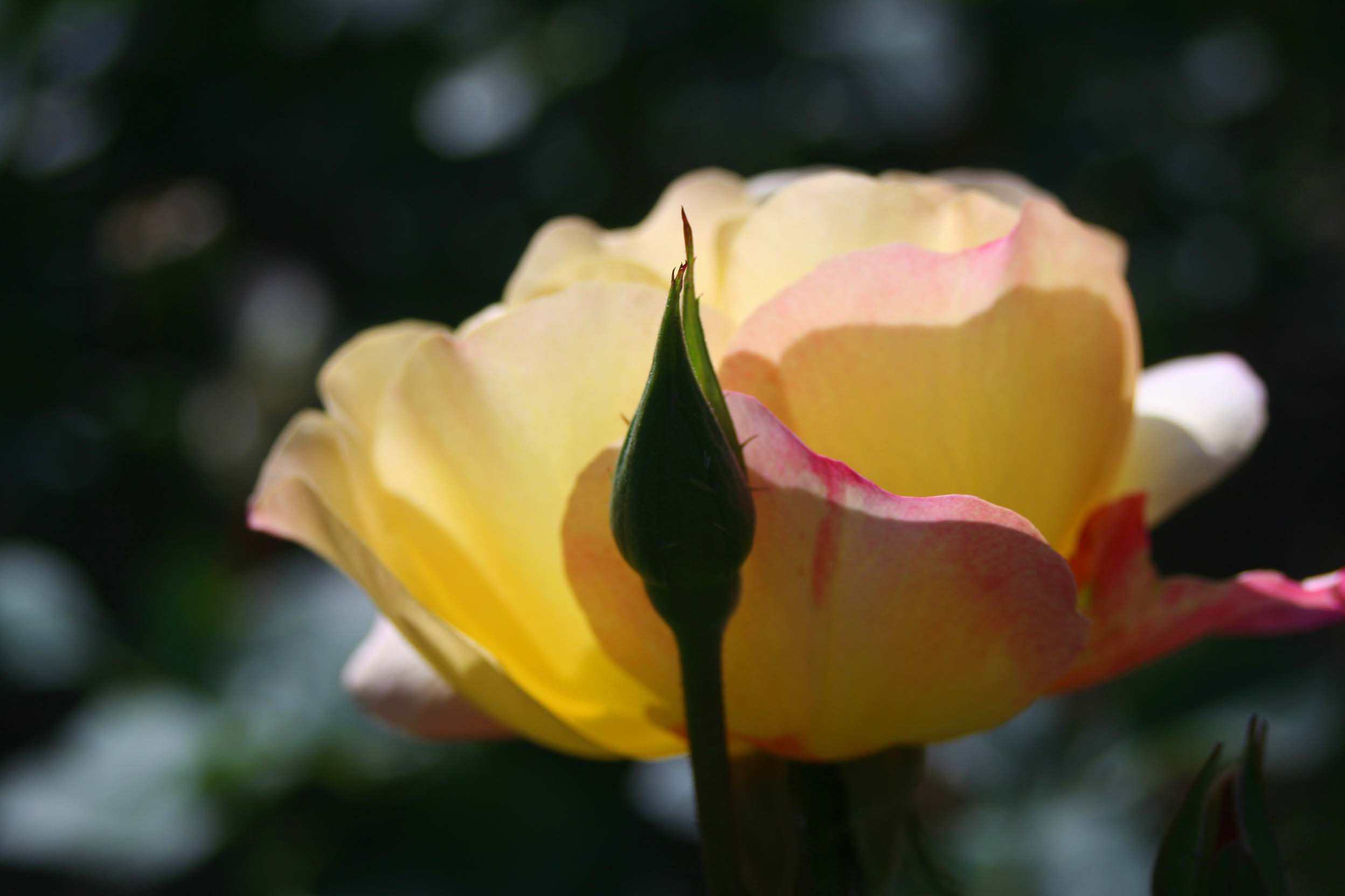 IMG_0877 _.jpg