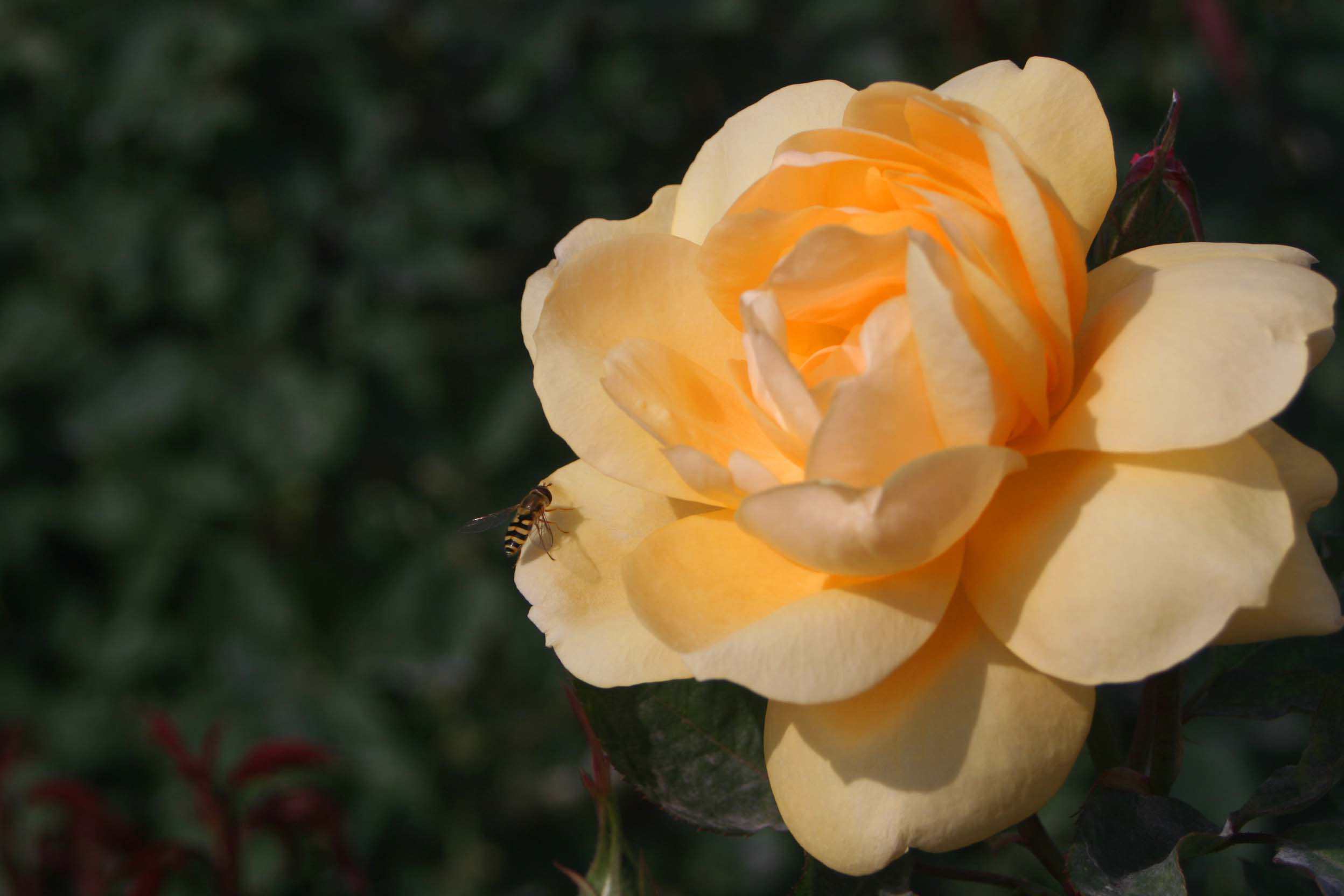IMG_1026 _.jpg