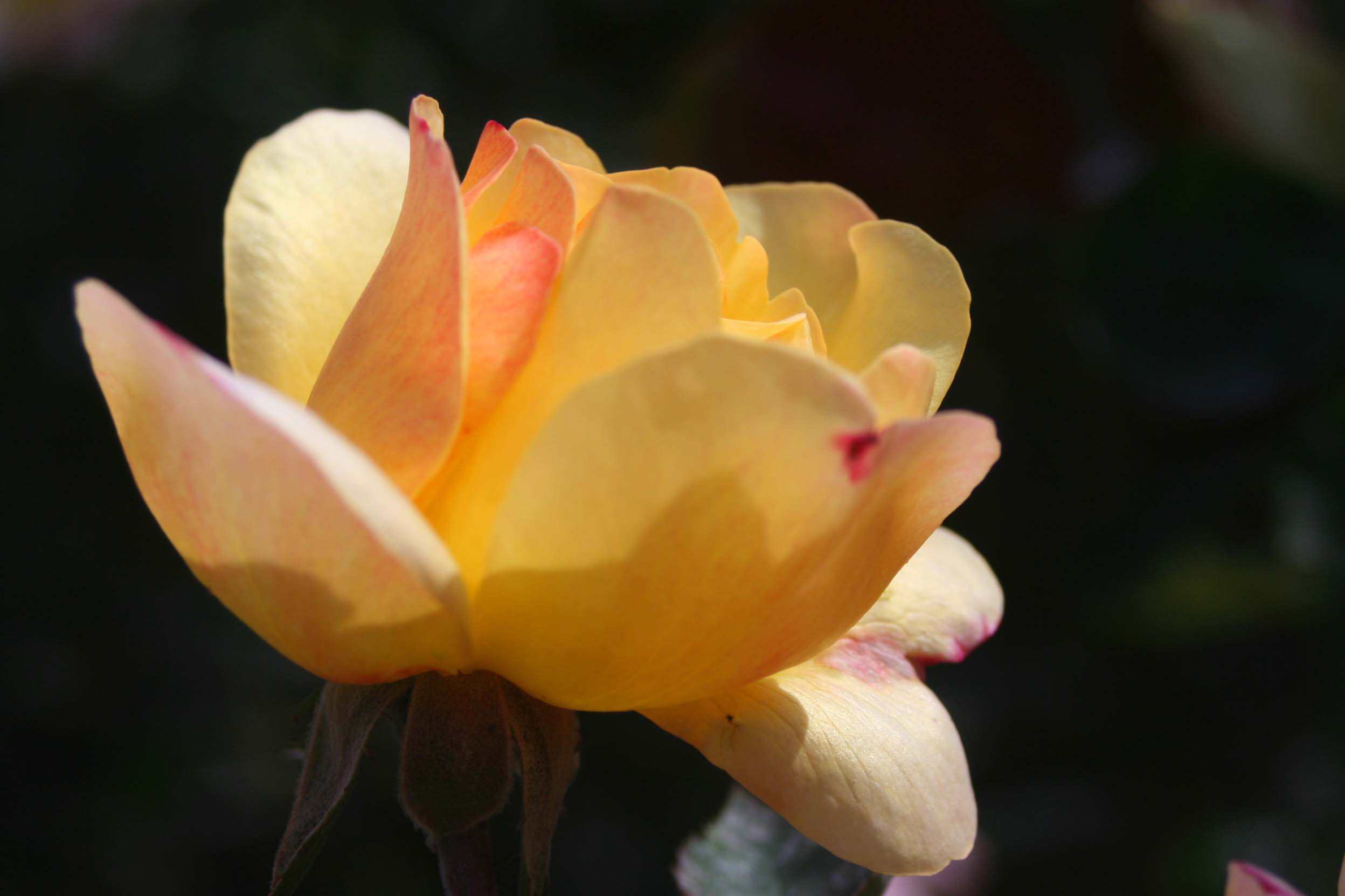 IMG_1034 _.jpg