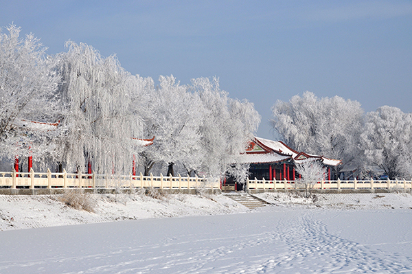 DSC_0178.jpg