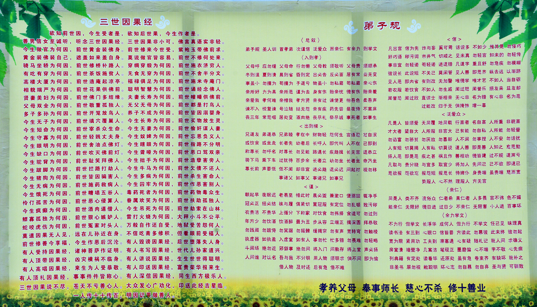 nEO_IMG__DSC7620.jpg