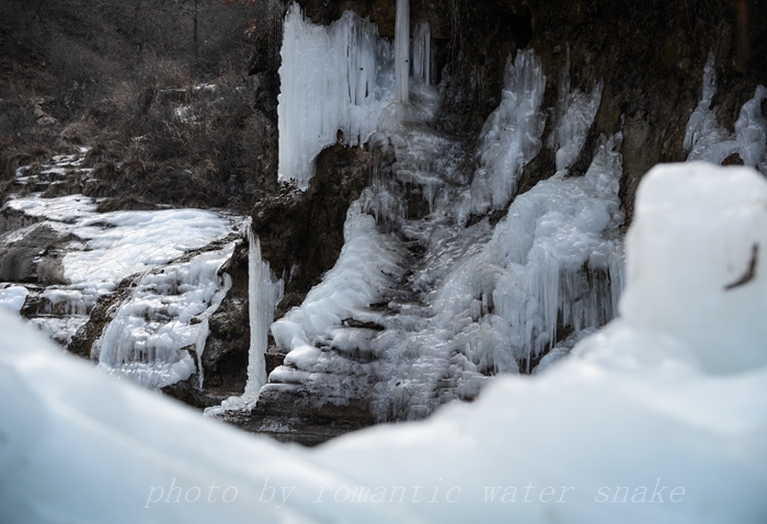 DSC_5138.jpg