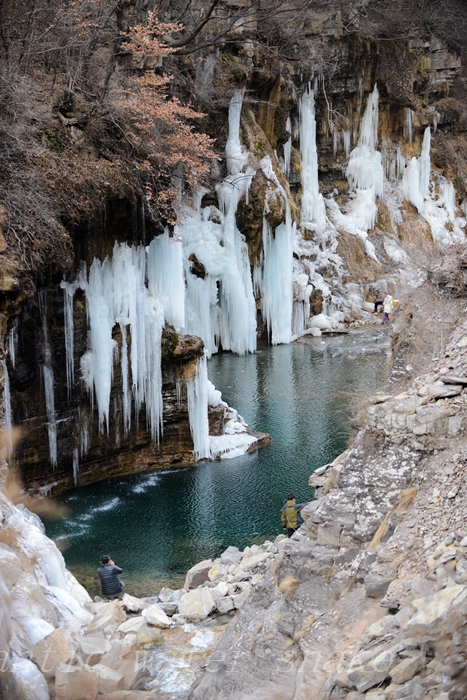 DSC_5142.jpg
