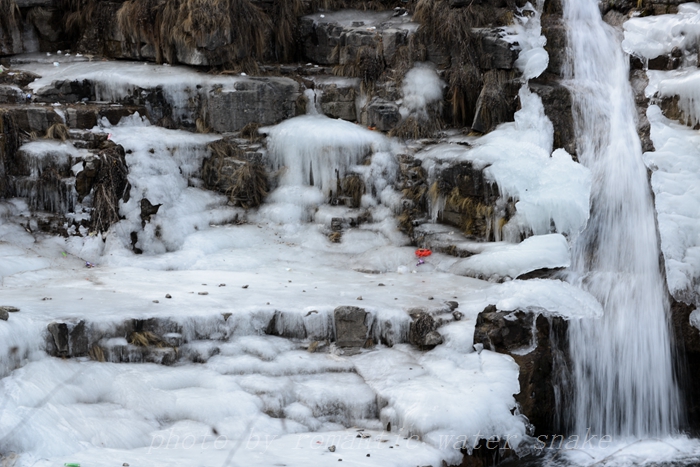 DSC_5146.jpg