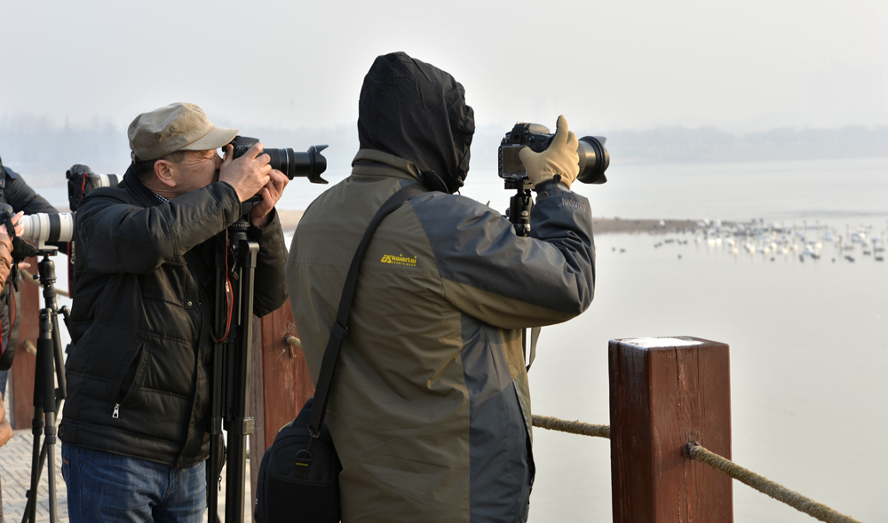 _DSC9214x.jpg