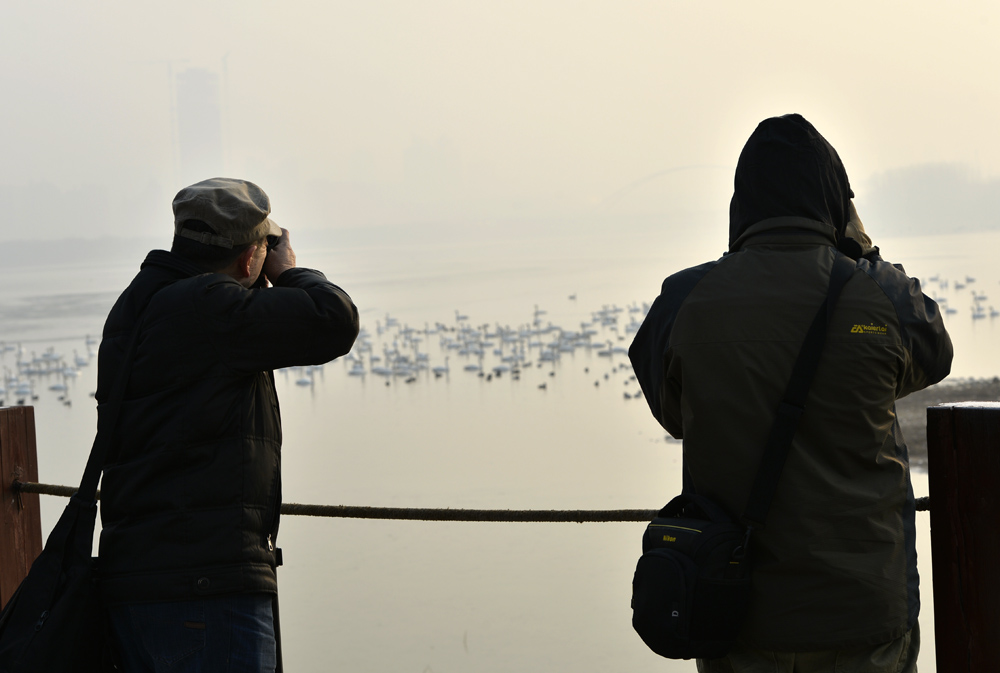 _DSC9215x.jpg