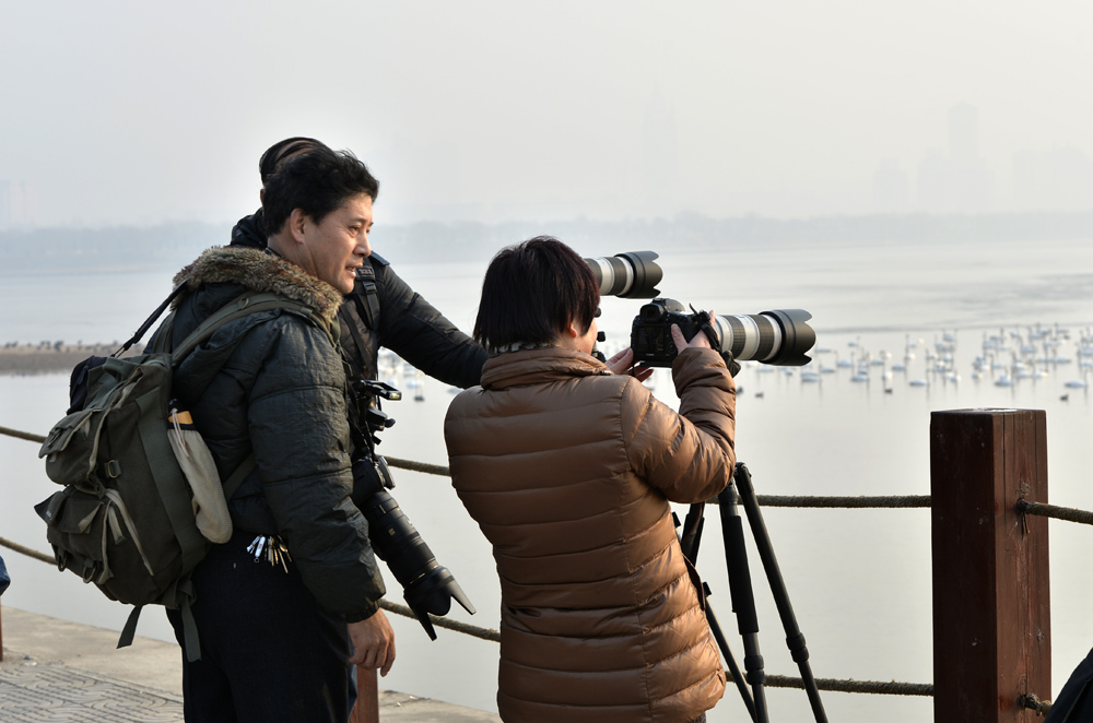 _DSC9217x.jpg