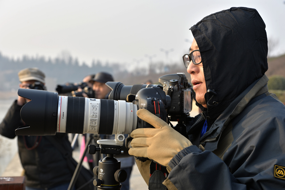 _DSC9221x.jpg