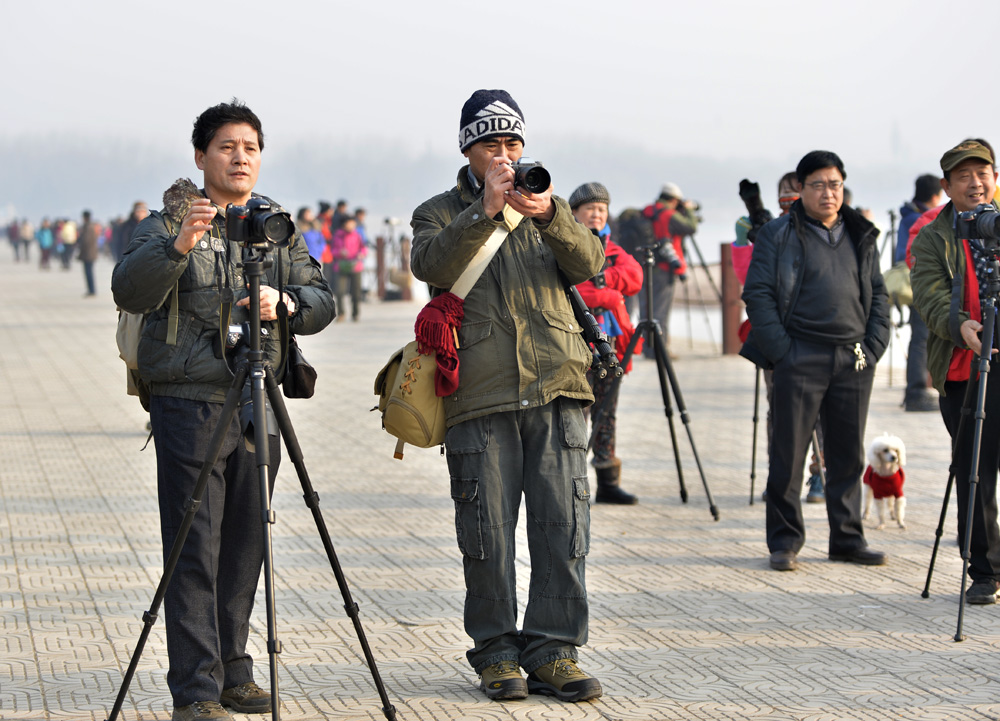 _DSC9231x.jpg
