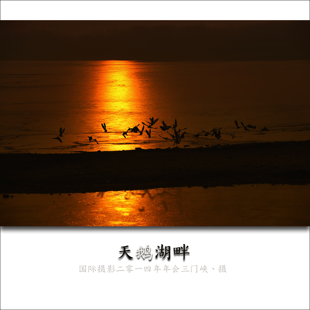 ҵ1.jpg