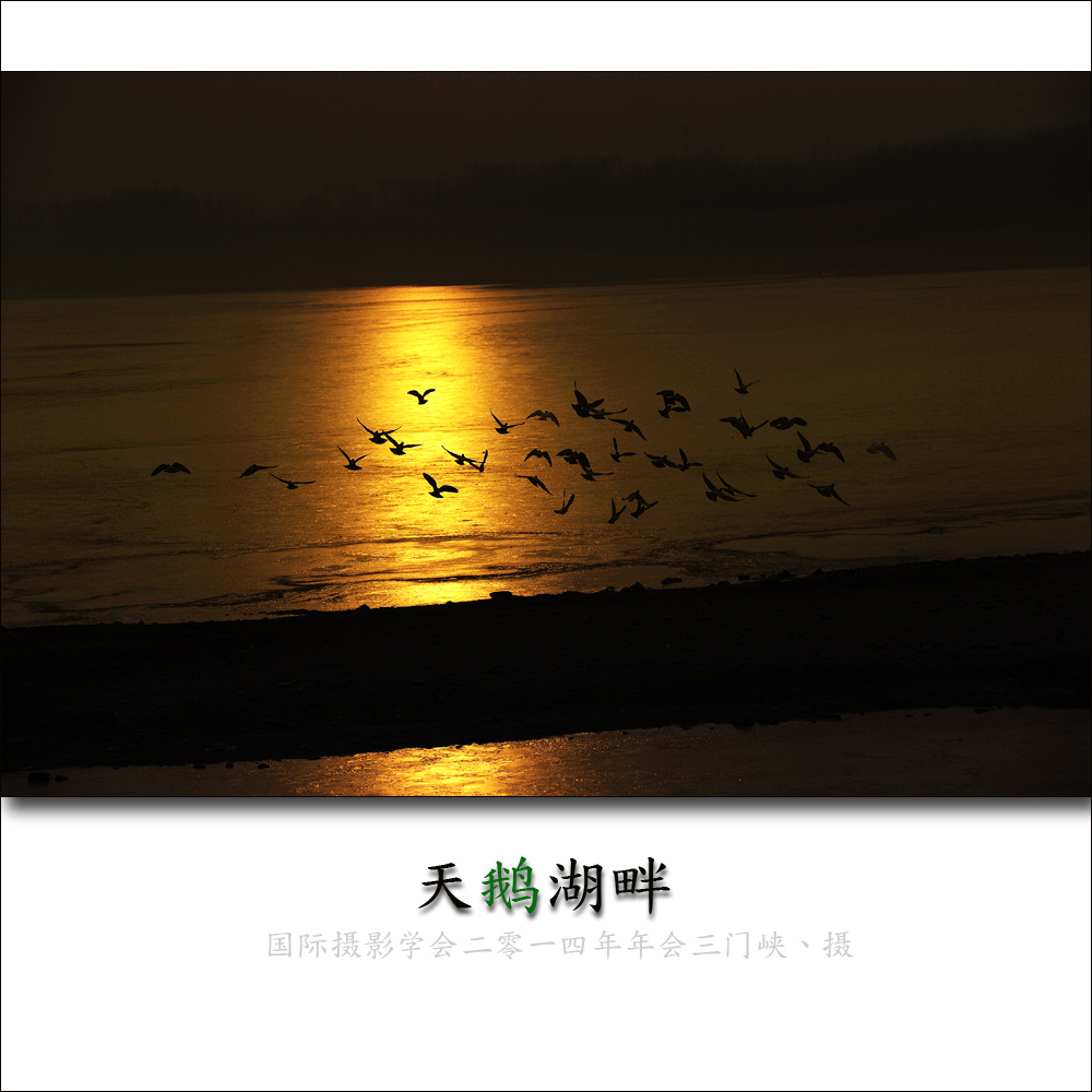 ҵ2.jpg