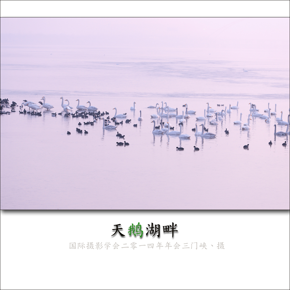 ҵ5.jpg