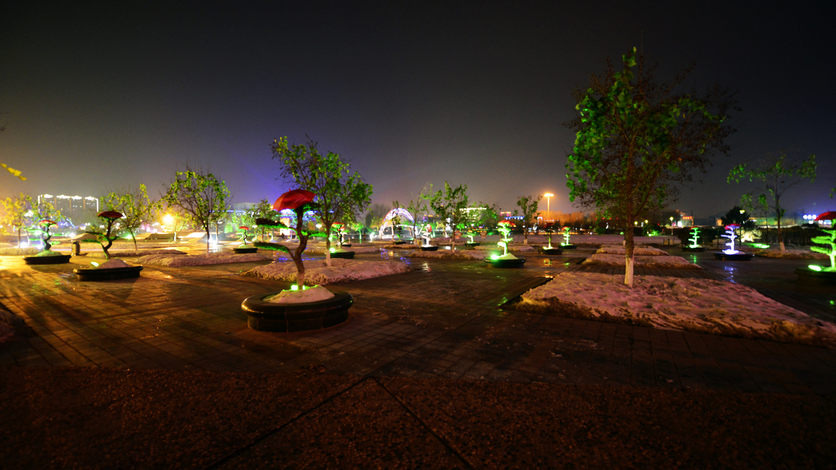 nEO_IMG__DSC1427.jpg