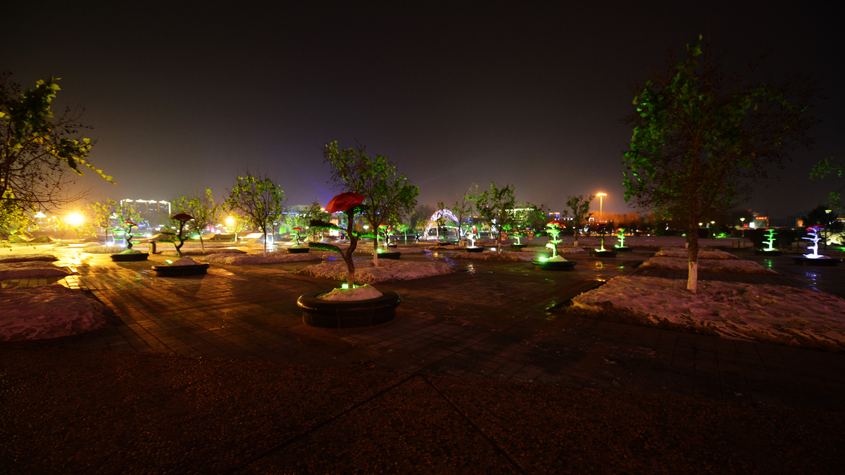 nEO_IMG__DSC1428.jpg