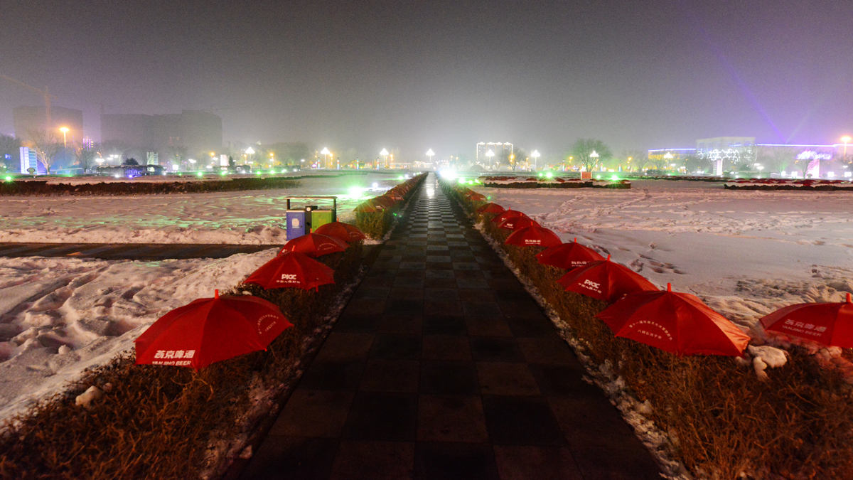 nEO_IMG__DSC1433.jpg