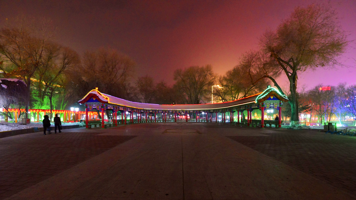 nEO_IMG__DSC1494.jpg