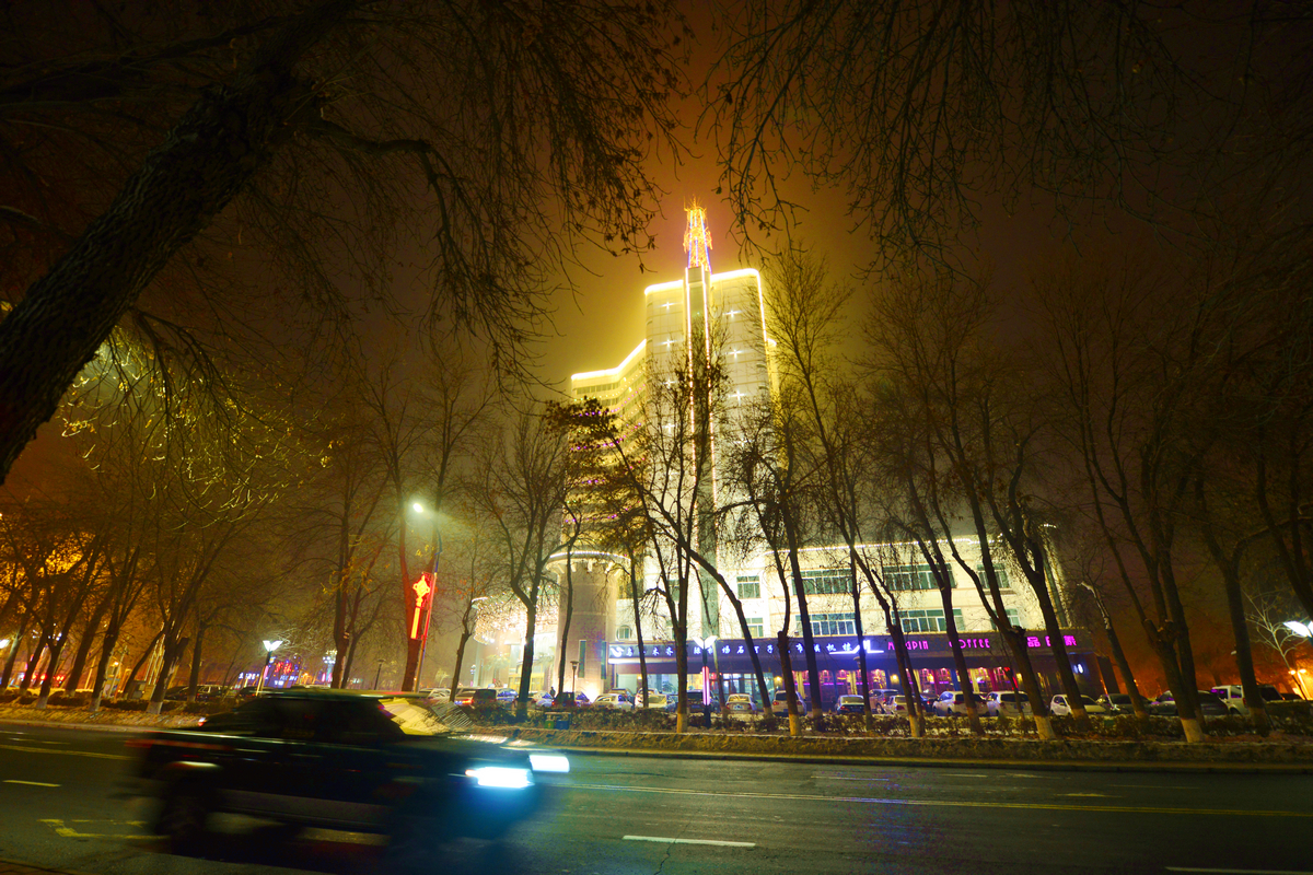nEO_IMG__DSC1554.jpg