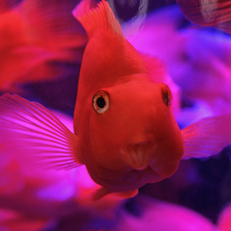 20141213̨ a7221.jpg