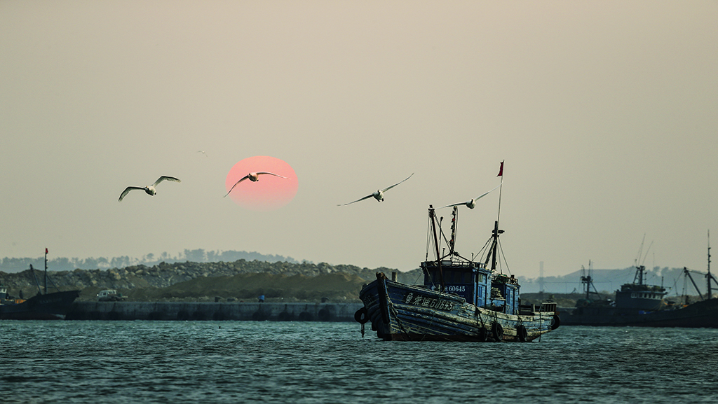 IMG_1394x.jpg