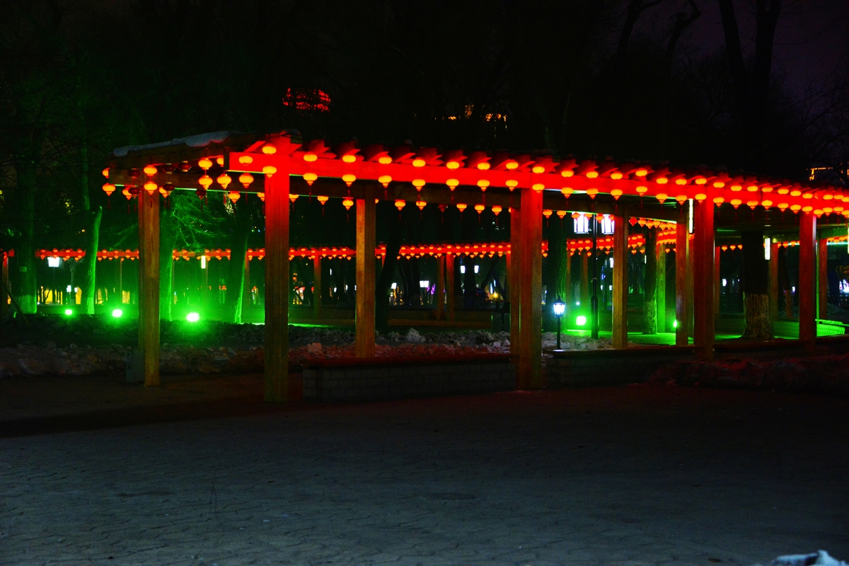 nEO_IMG__DSC1336.jpg
