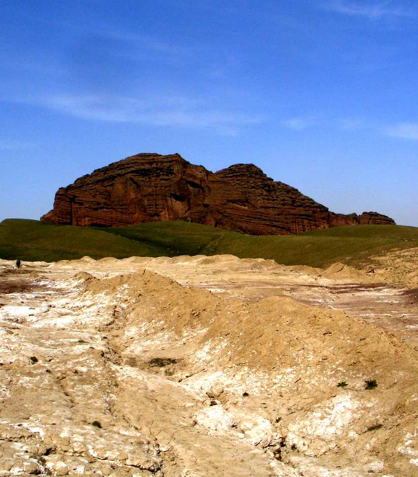 CIMG2331_.jpg