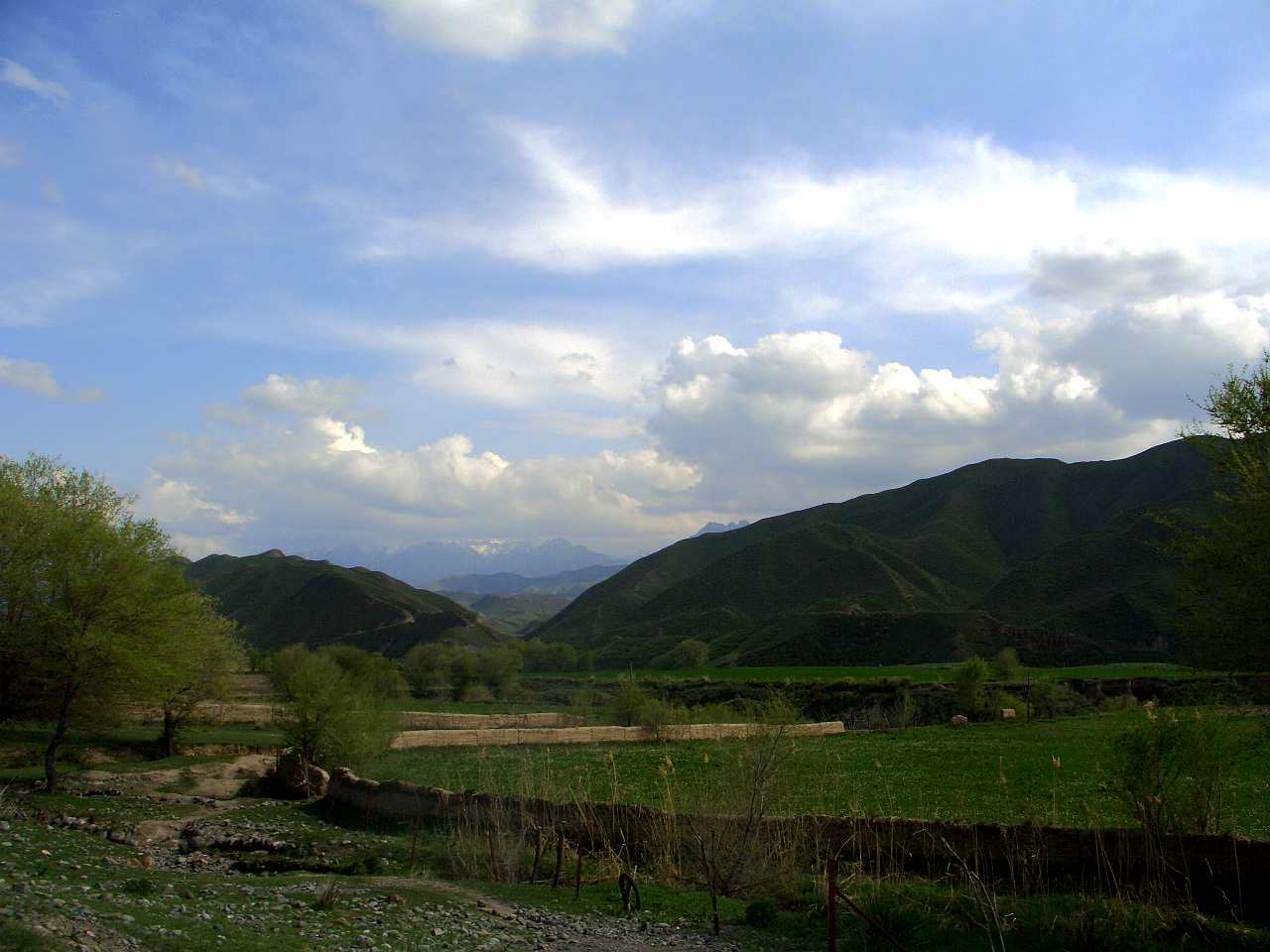 CIMG2632_.jpg