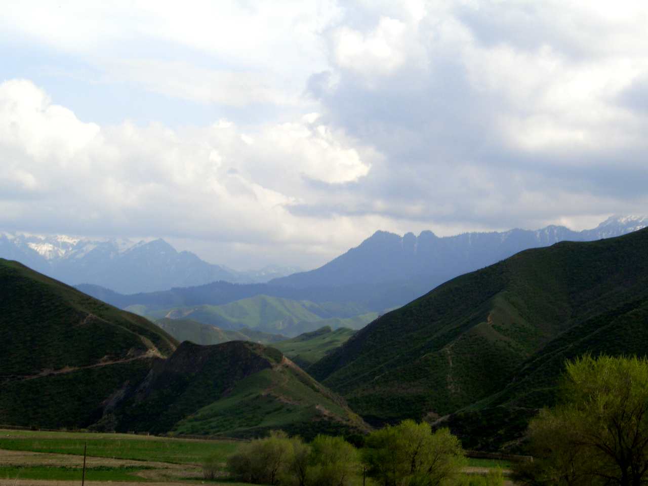 CIMG2633_.jpg