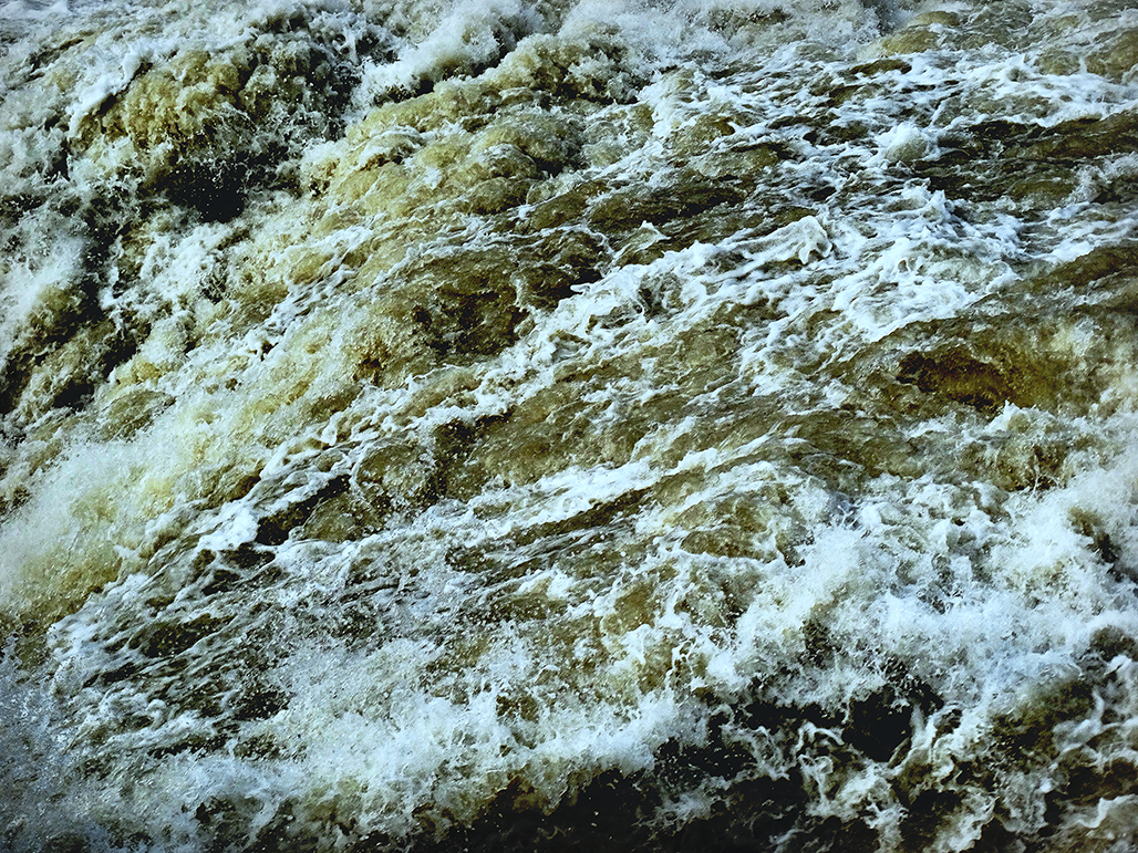 DSC02618-1.jpg