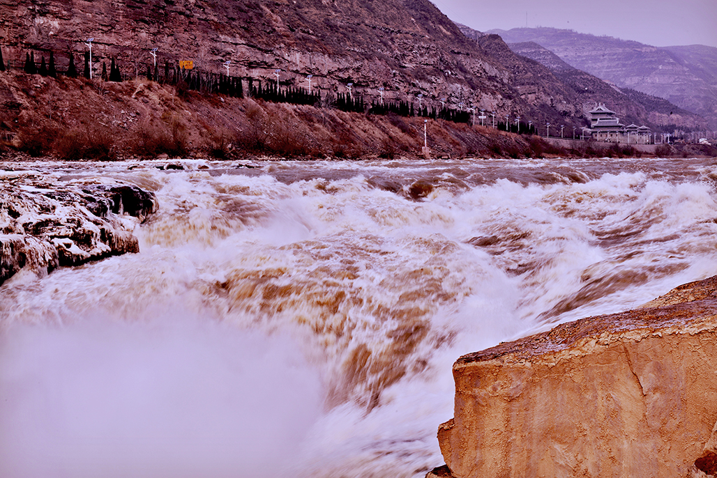 DSC_2662-1.jpg