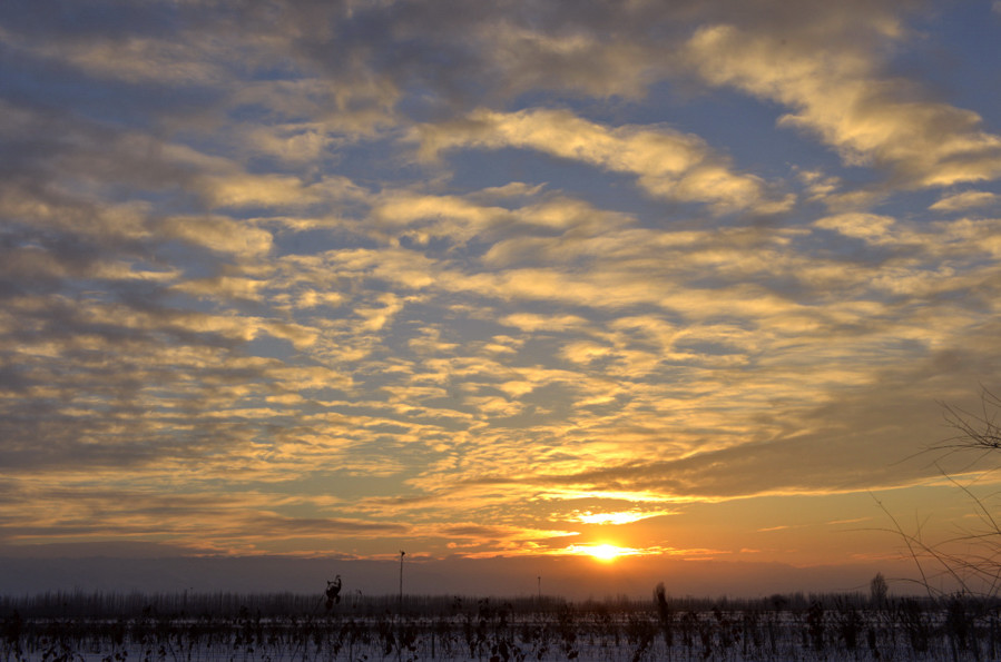 _DSC0368.jpg