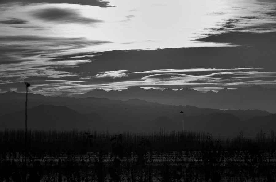 _DSC0292.jpg