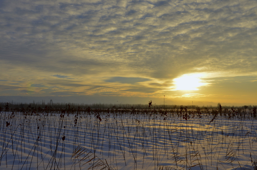_DSC0303.jpg