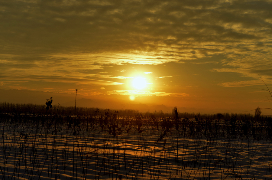 _DSC0339.jpg
