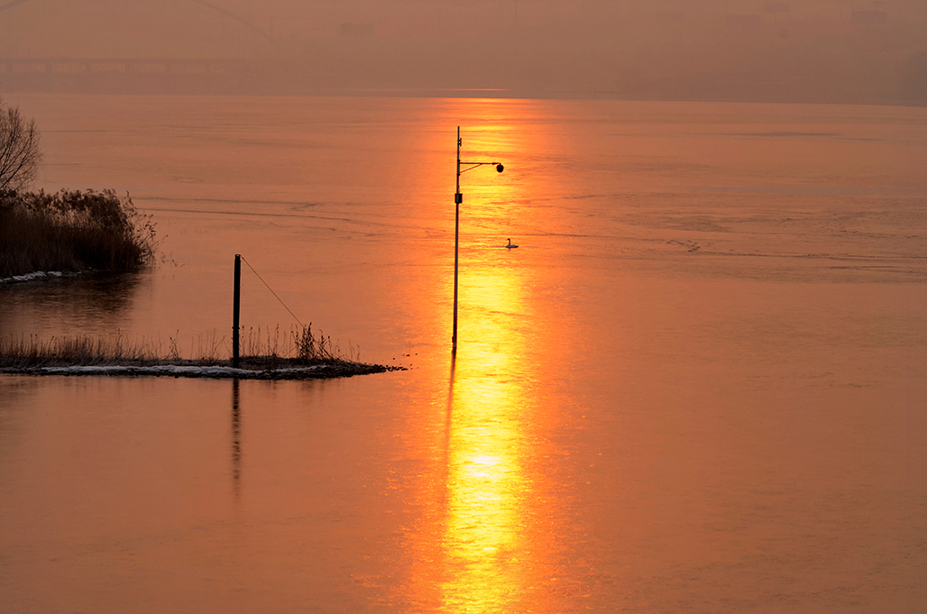 DSC_1049-1.jpg