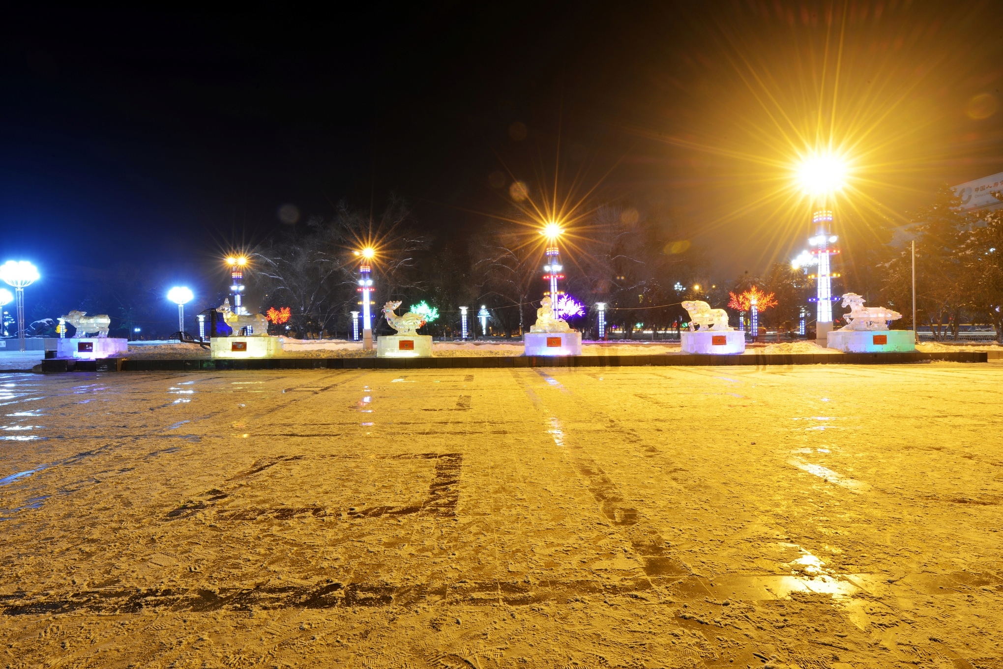 nEO_IMG__DSC7420.jpg