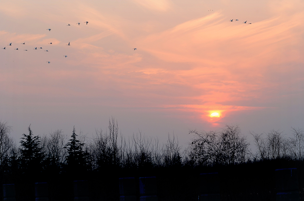 DSC_2096-1.jpg