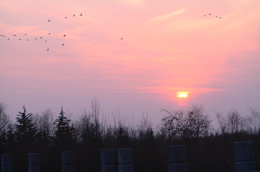 DSC_2095-1.jpg
