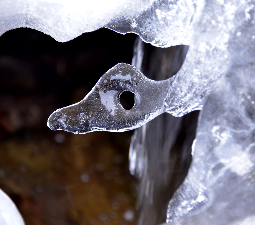 _DSC8477.jpg