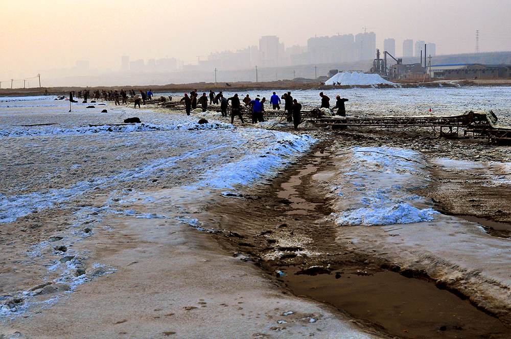 DSC_0201.JPG
