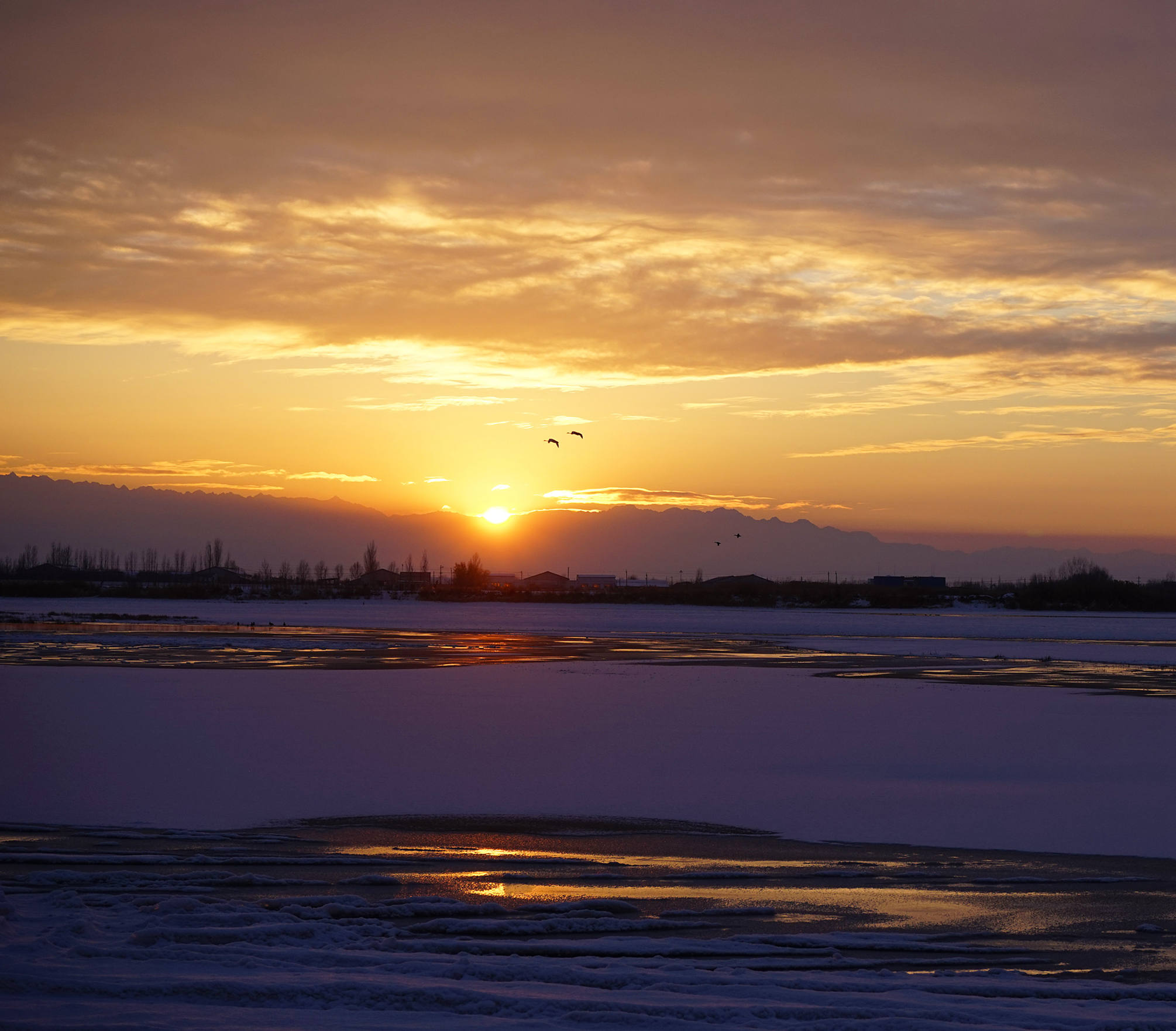 DSC09227_.jpg