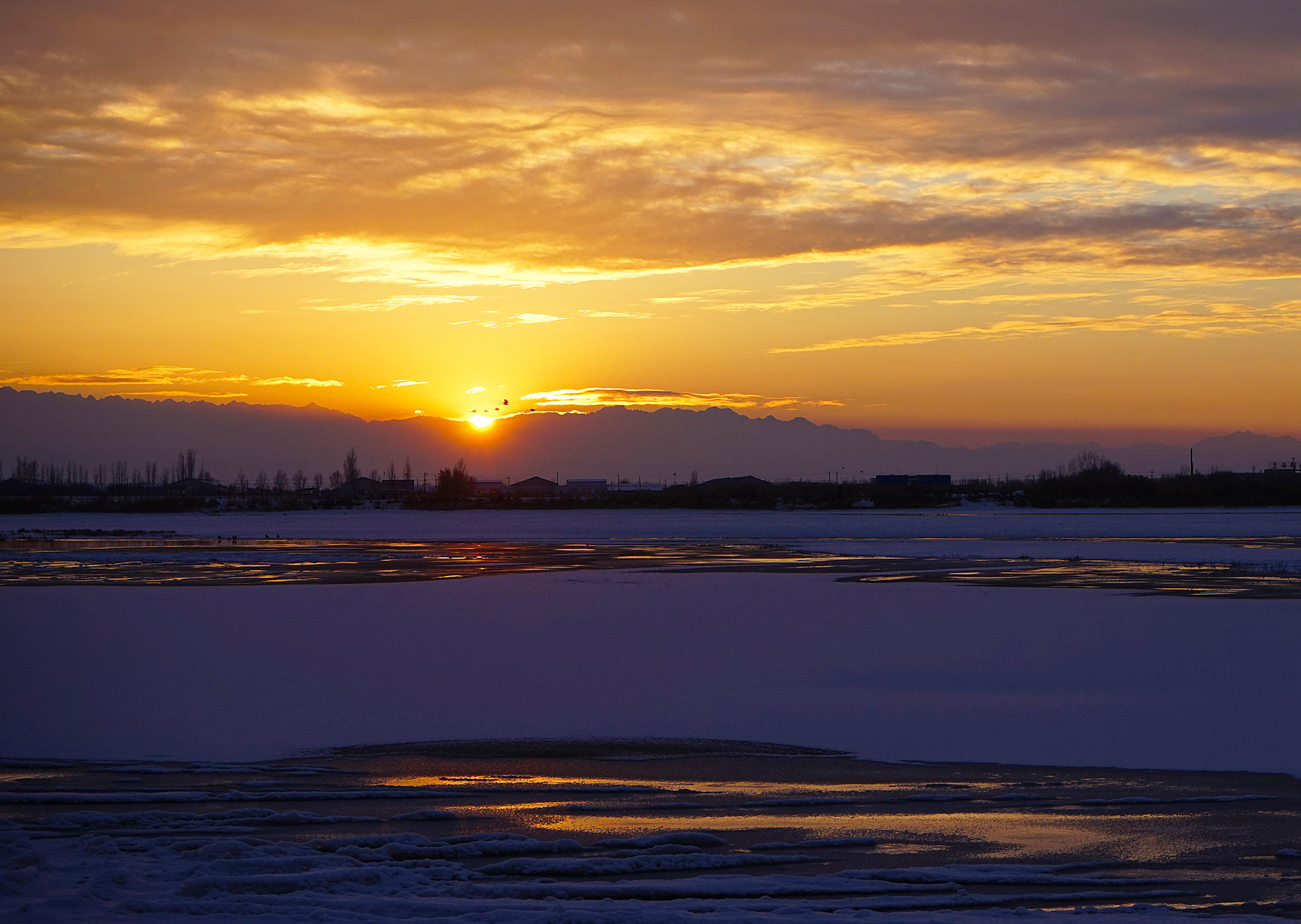 DSC09230_.jpg