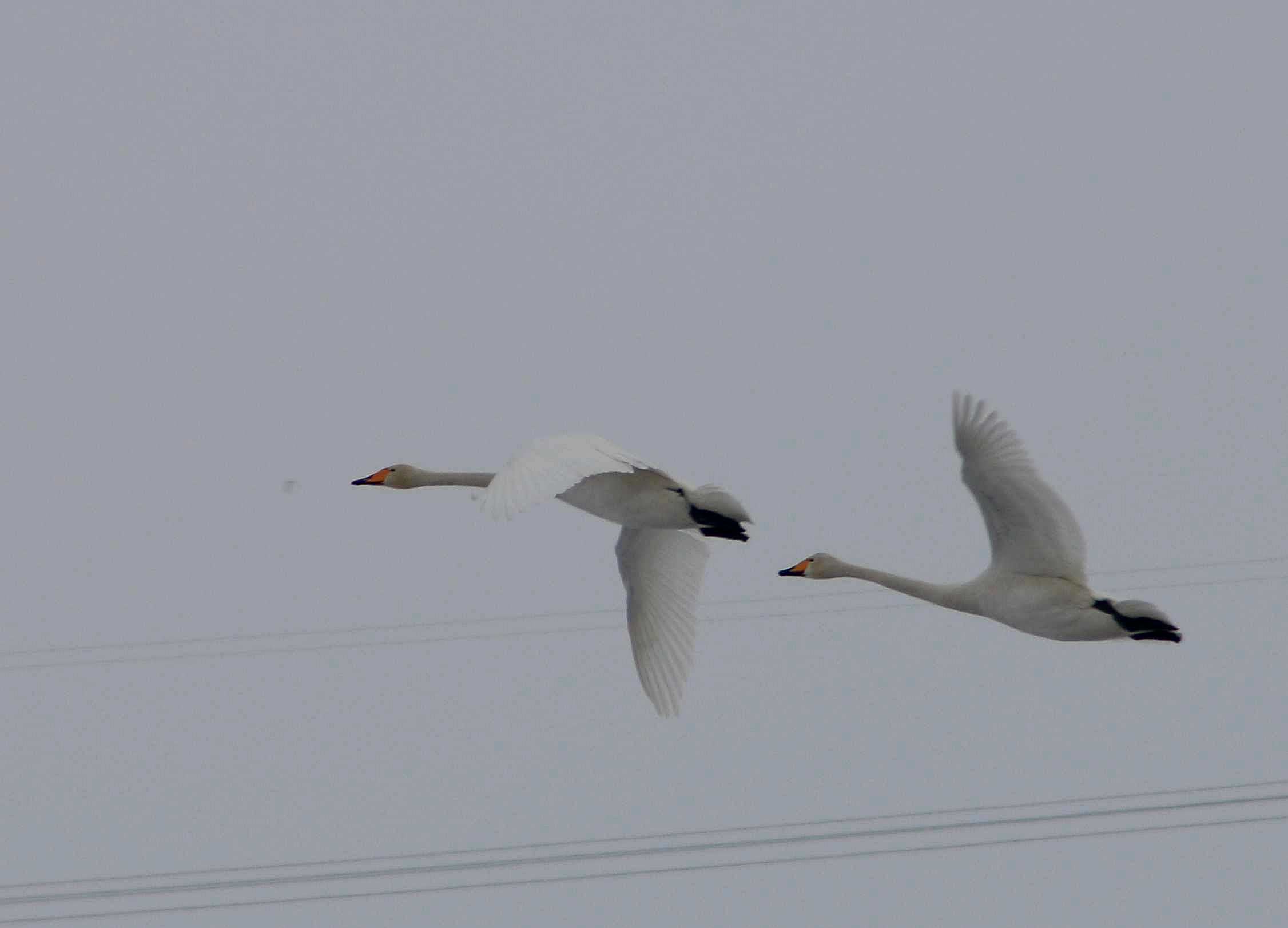 IMG_0178__.jpg