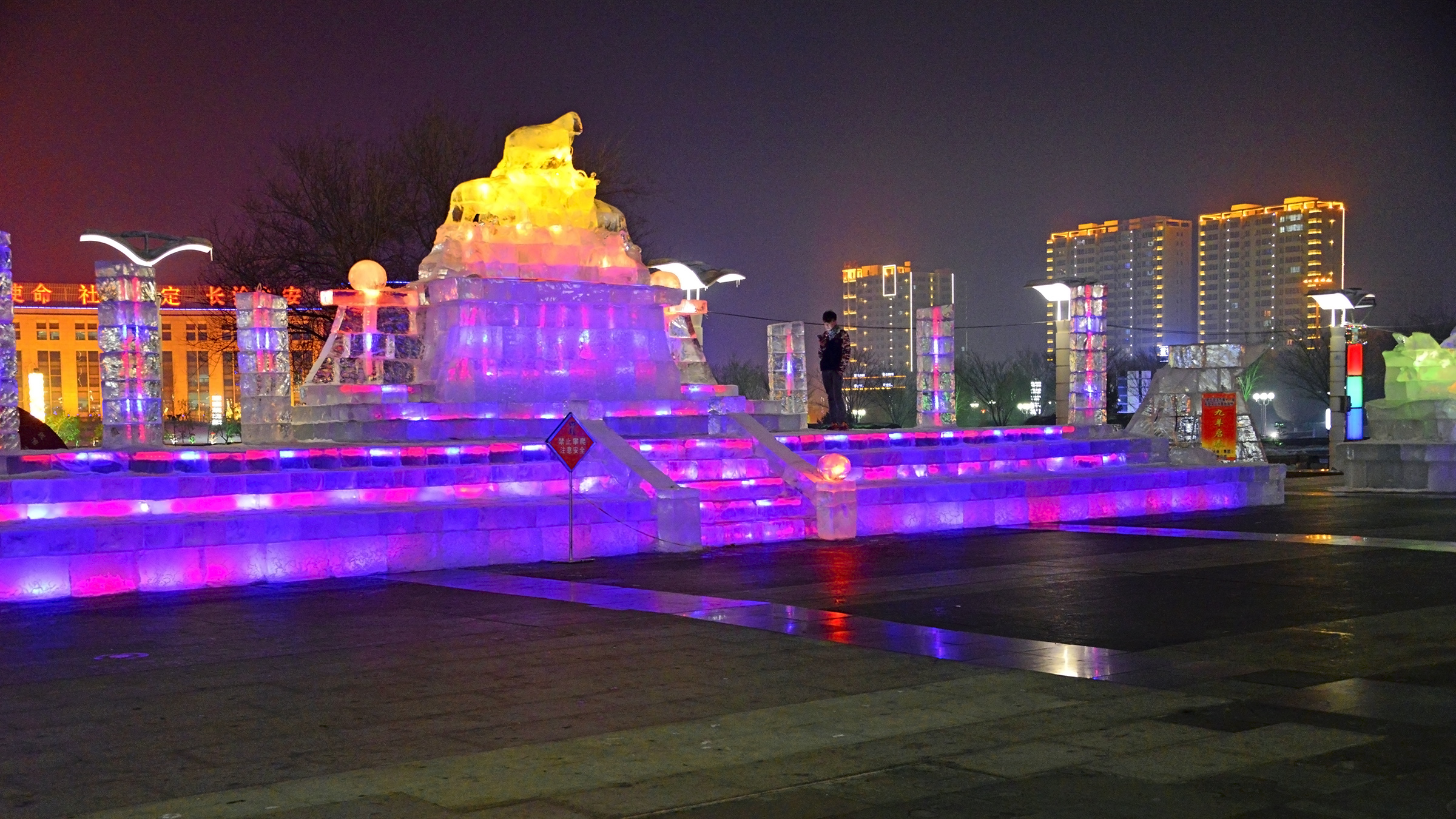 n_DSC1295.jpg