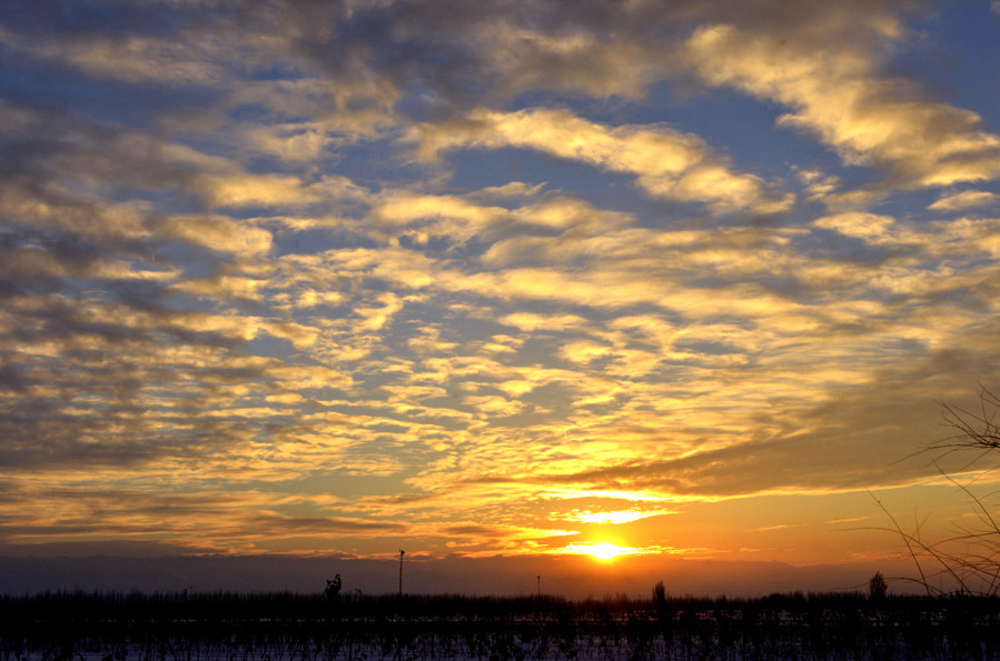 _DSC0368.jpg
