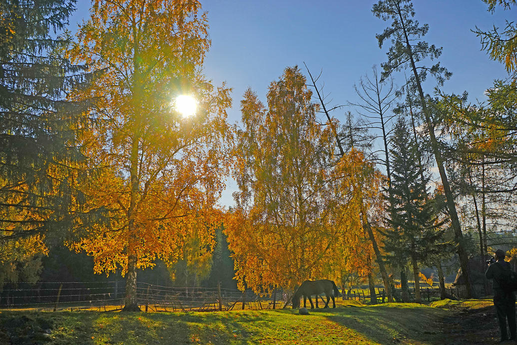 DSC07329__.jpg