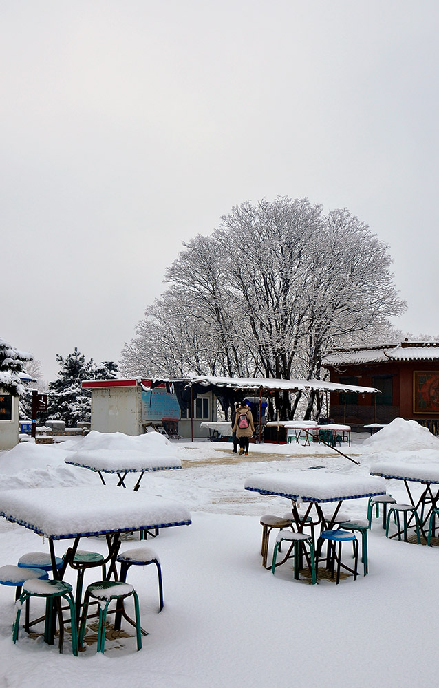 DSC_0066.JPG