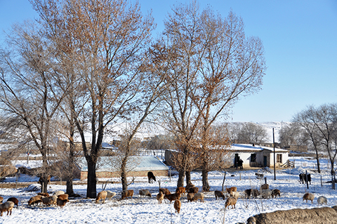 DSC_0062-3.jpg